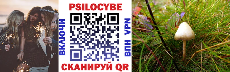 Купить  Муравленко  Псилоцибиновые грибы Psilocybe 