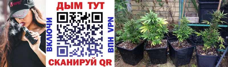 Купить  Муравленко  Марихуана VHQ 